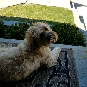 Meet your Posher, Maria